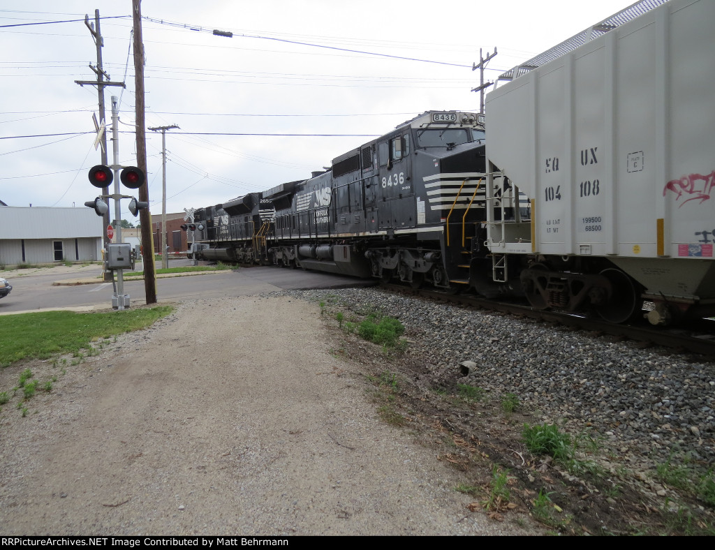 NS 8436